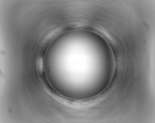 X0000090960022200708091402