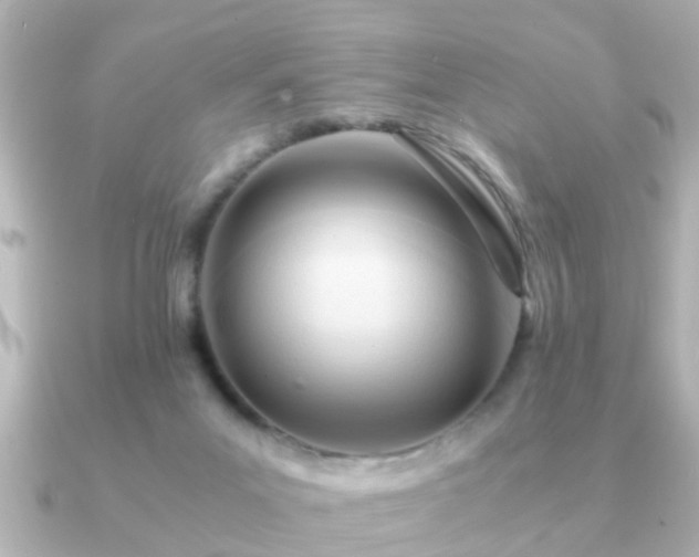 X0000090960023200708091402