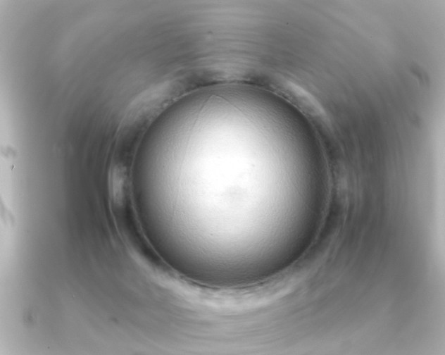 X0000090960026200708091402