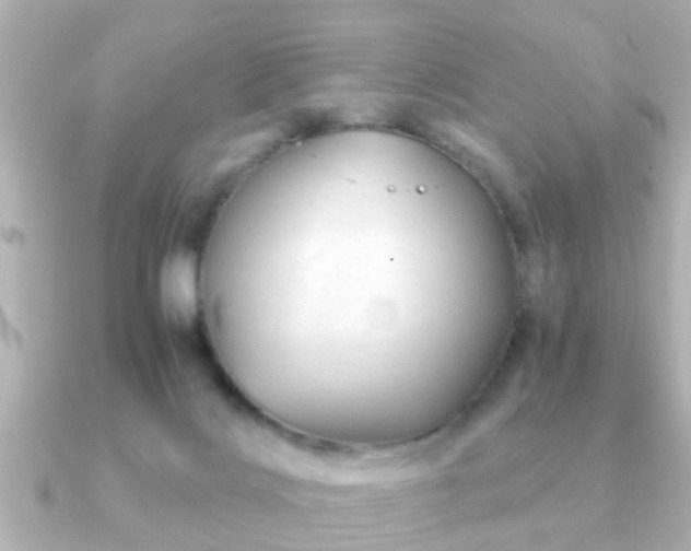 X0000090960028200708091402