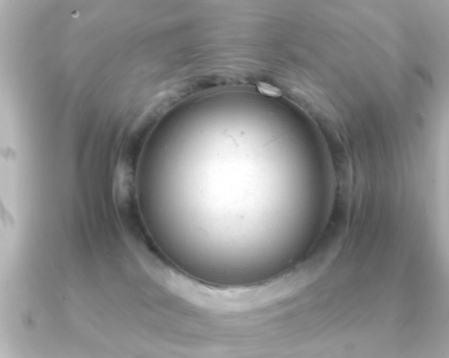 X0000090960038200708091402