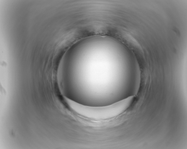 X0000090960039200708091402