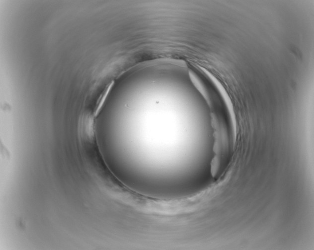 X0000090960041200708091402