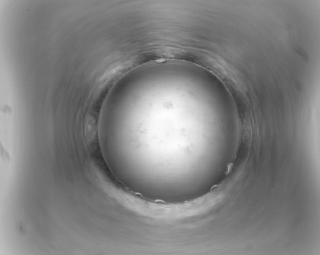 X0000090960043200708091402
