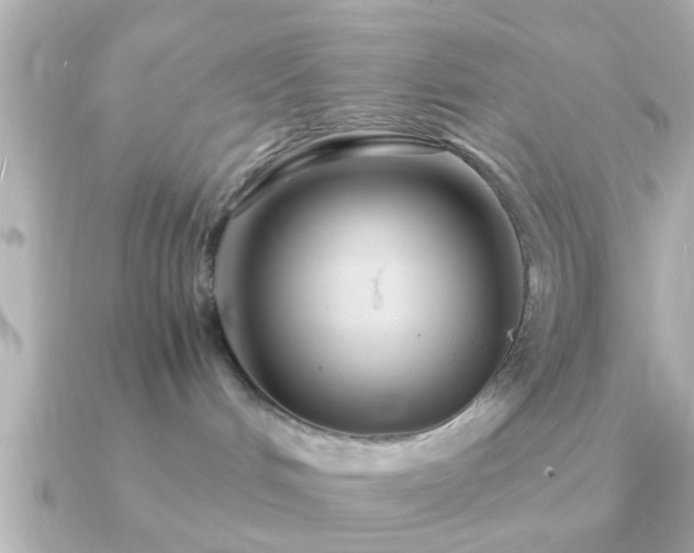 X0000090960048200708091402