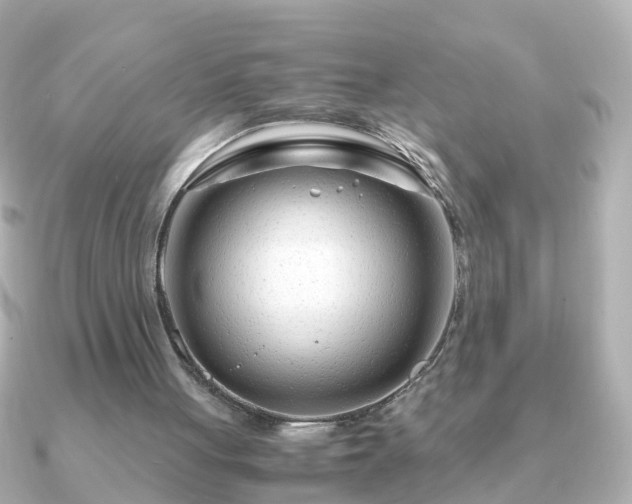 X0000090960051200708091402