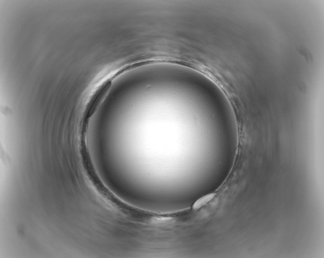 X0000090960055200708091402