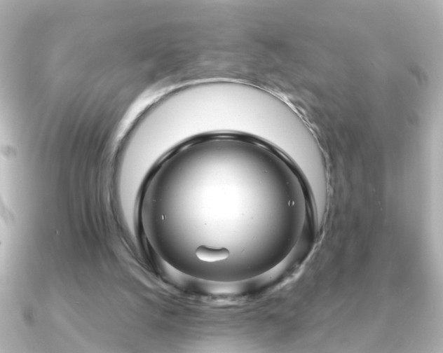X0000090960056200708091402