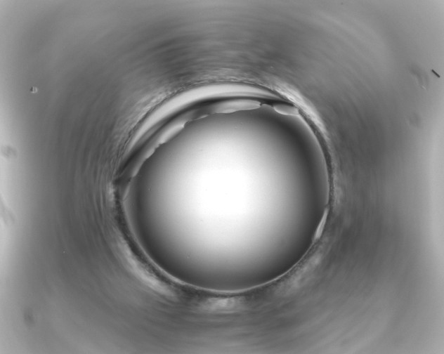 X0000090960057200708091402
