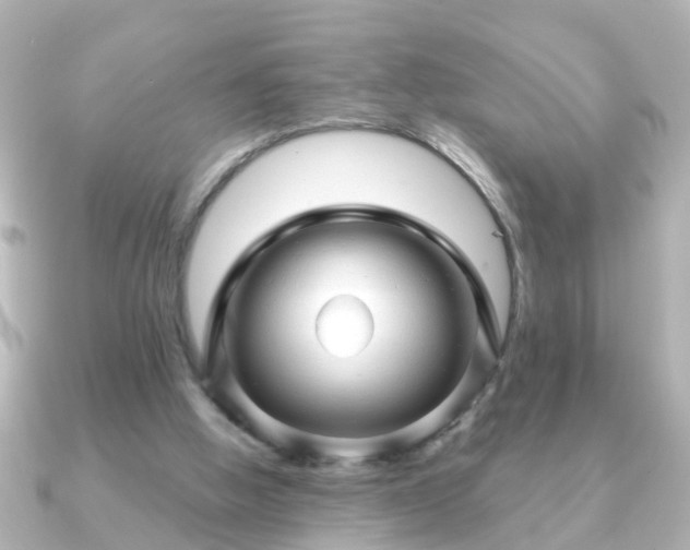 X0000090960058200708091402