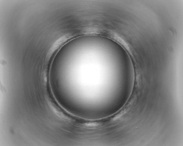 X0000090960059200708091402