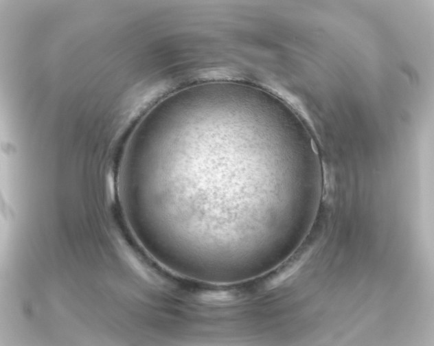 X0000090960061200708091402