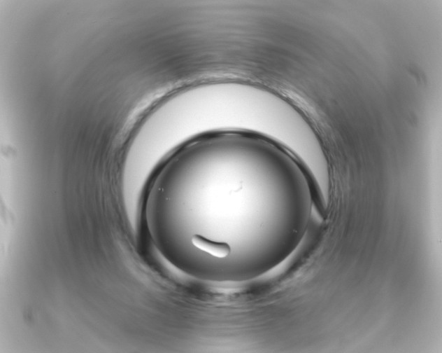 X0000090960064200708091402