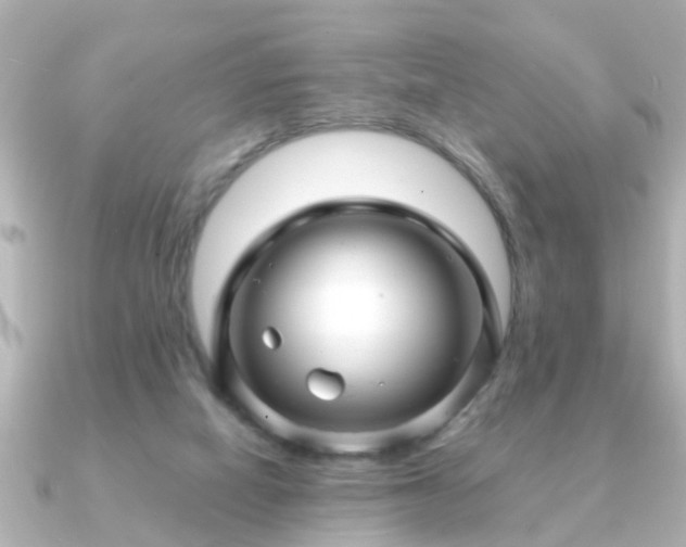 X0000090960066200708091402