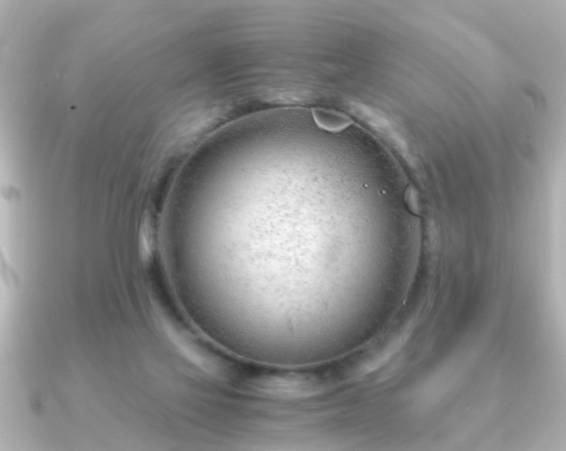 X0000090960069200708091402