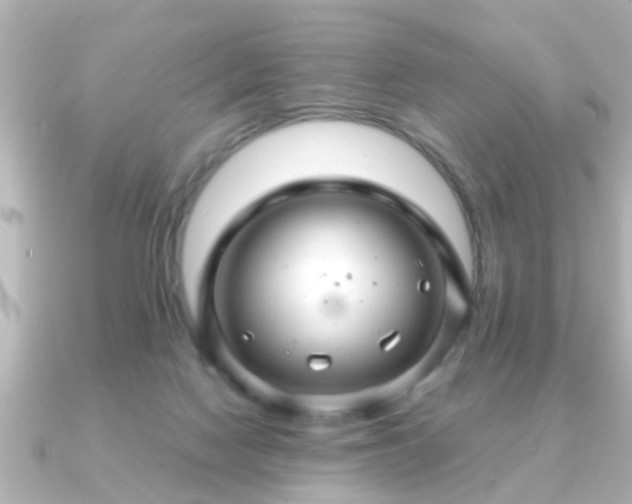 X0000090960074200708091402
