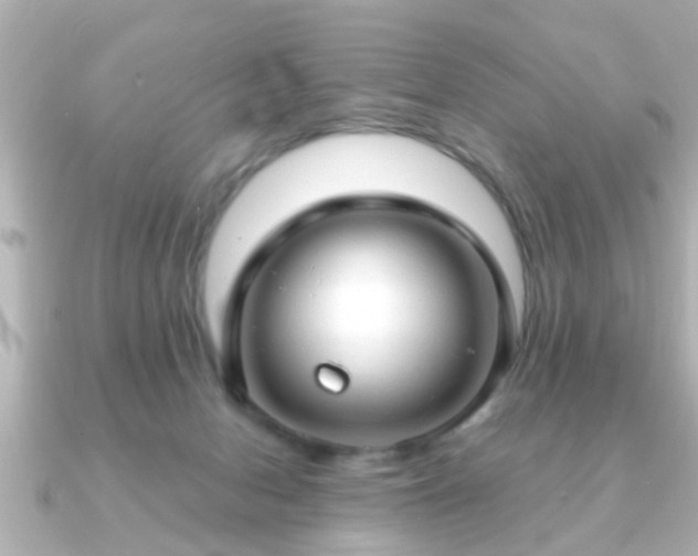 X0000090960078200708091402