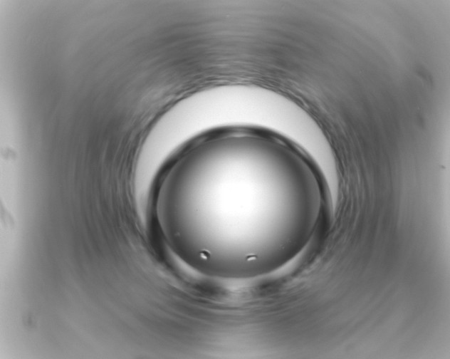 X0000090960084200708091402