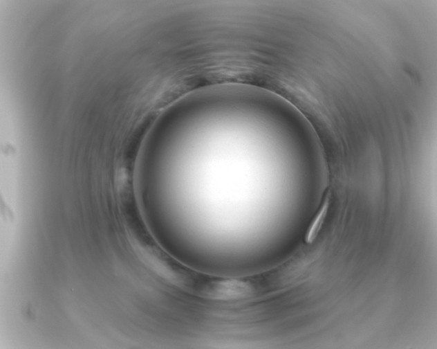 X0000090960087200708091402