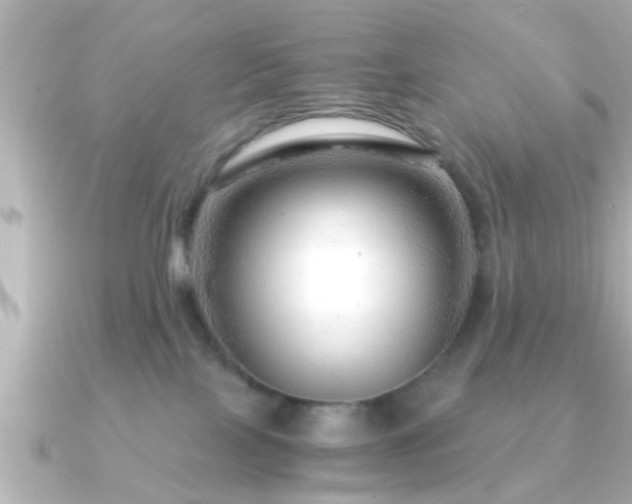 X0000090960089200708091402