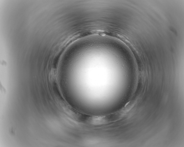 X0000090960093200708091402