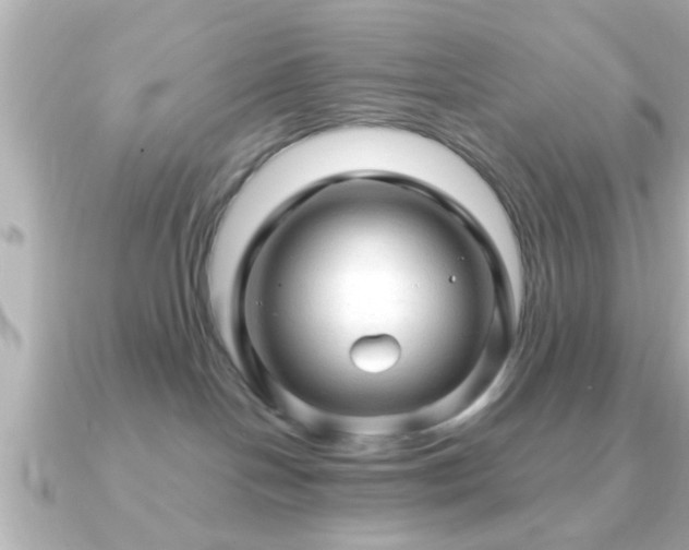 X0000090960094200708091402