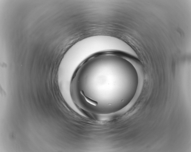 X0000090960096200708091402
