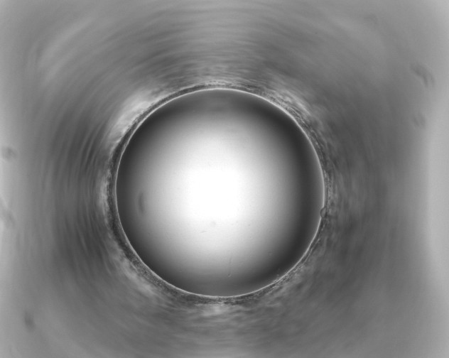 X0000090960098200708091401