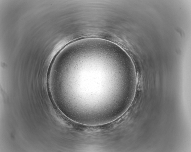 X0000090960099200708091401