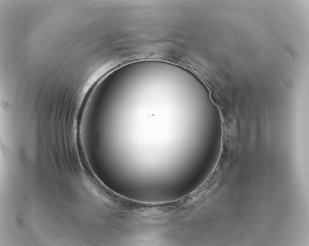 X0000090960100200708091401