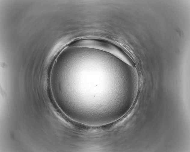 X0000090960101200708091401