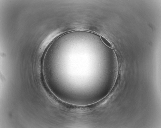 X0000090960103200708091401