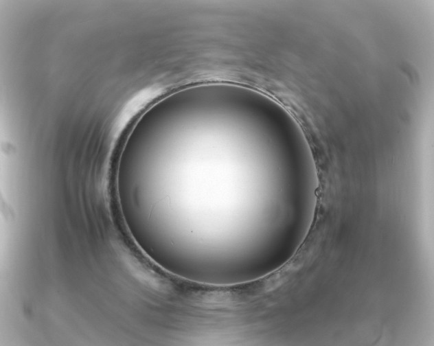 X0000090960104200708091401