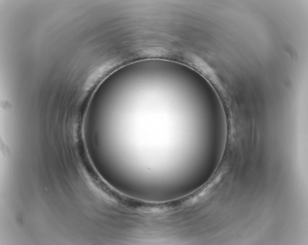 X0000090960106200708091401