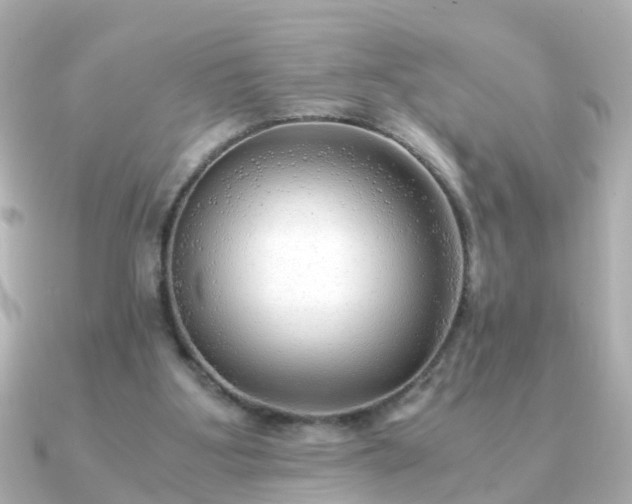 X0000090960107200708091401