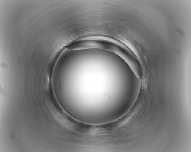X0000090960109200708091401