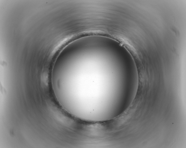 X0000090960112200708091401