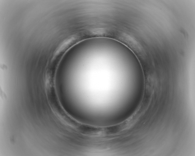 X0000090960116200708091401