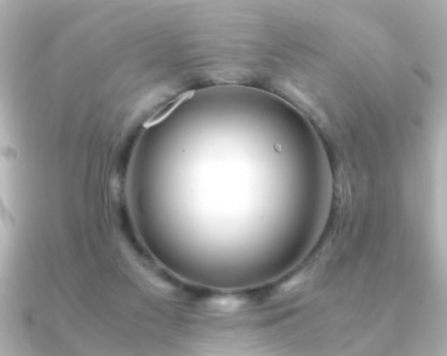 X0000090960117200708091401