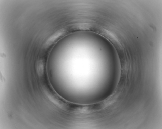 X0000090960120200708091401