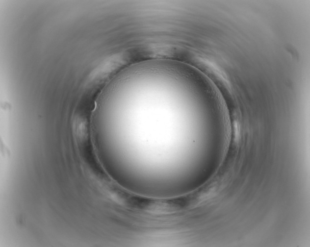 X0000090960123200708091401