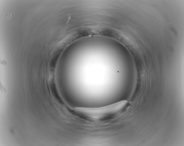 X0000090960129200708091401