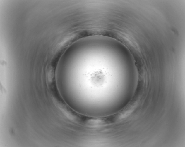 X0000090960133200708091401