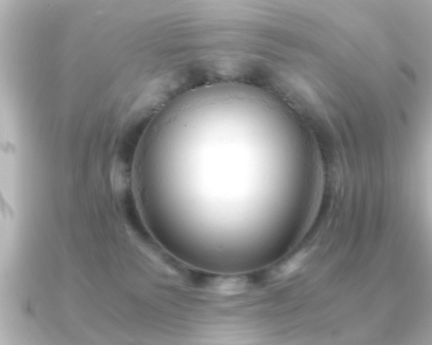 X0000090960135200708091401