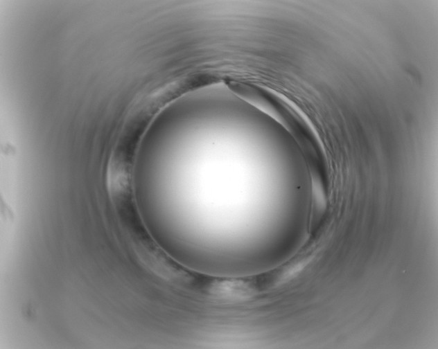X0000090960137200708091401
