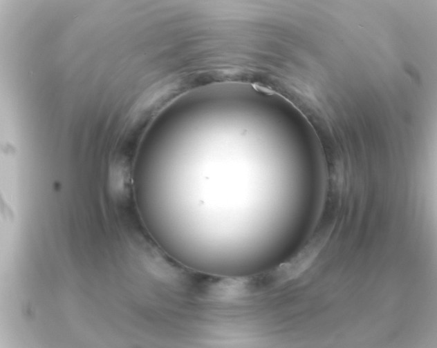 X0000090960138200708091401