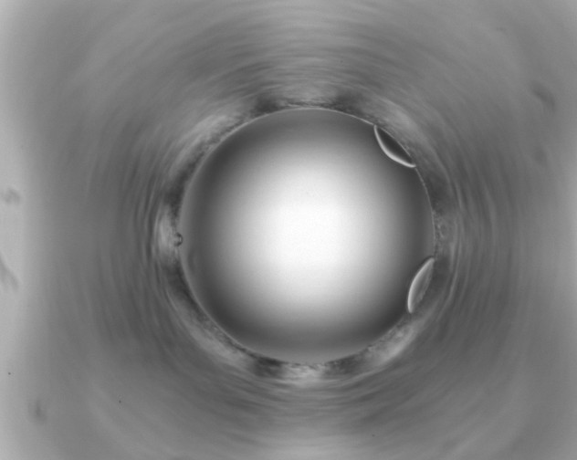 X0000090960143200708091401