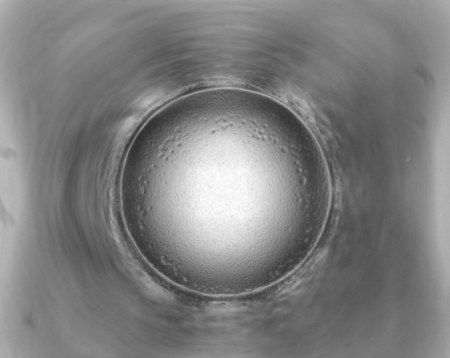 X0000090960145200708091400