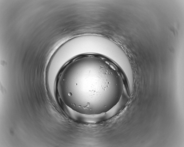 X0000090960148200708091400
