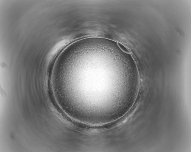 X0000090960149200708091400